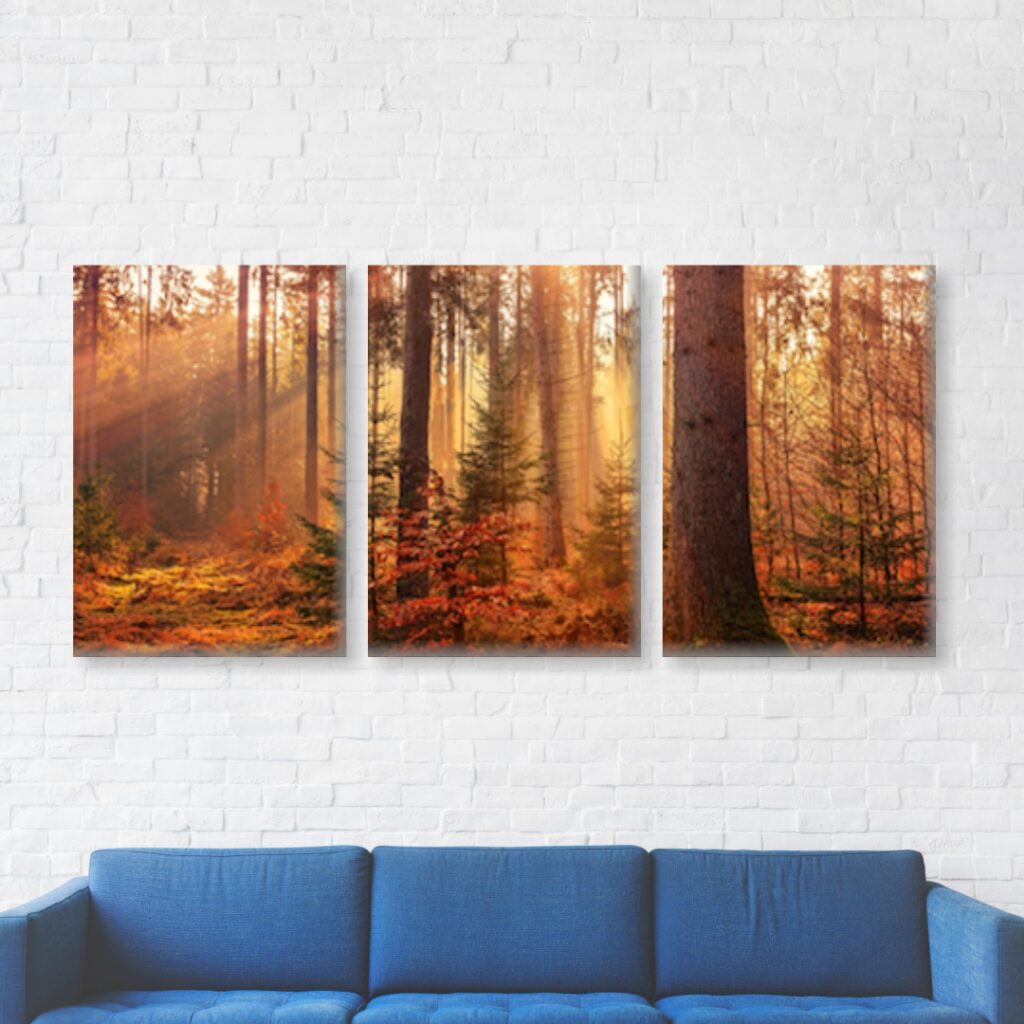 The Best Nature Photography Ideas - Canvas Factory